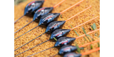 Preston Power Float 3g