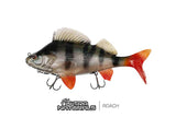 Fox Rage Ultra Naturals Perch 10cm 19g 6